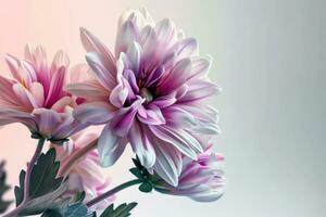 AI generated peiny flower poster template with large copy space for text photo