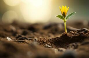 AI generated a small yellow flower that is growing in the dirt photo