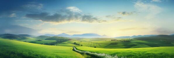 ai generado un camino mediante un verde campo hacia puesta de sol foto