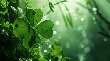 AI generated a four leaf clover leaf on a green background photo