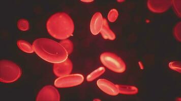 saudável humano vermelho células sanguíneas abstrato conceito video