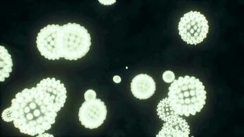 viruses under the microscopic view for education video