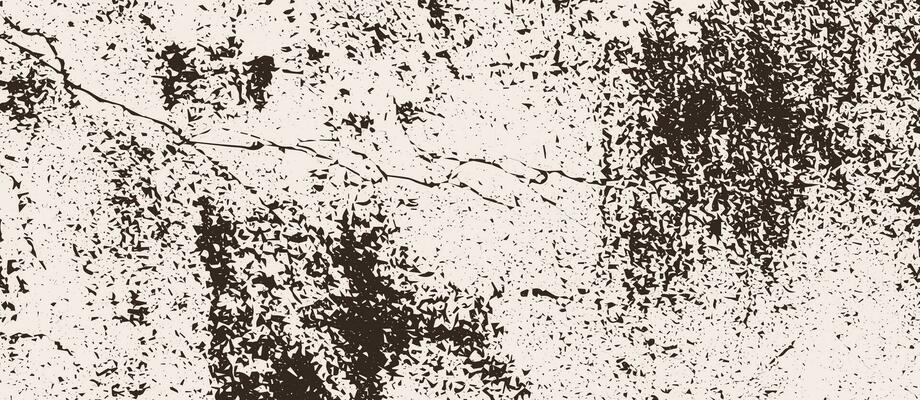 Grunge speckle texture with specks and flecks. Vintage grunge background with dots and particles. Vector illustration