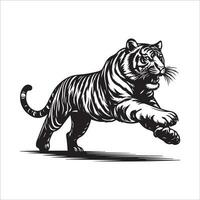 Vector image of a tiger on a white background in the style of engraving