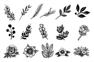 Hand drawn of flower and leaves set, vector doodle illustration