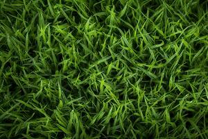 AI generated Green grass texture background. Close up of fresh spring grass top view photo