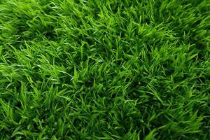 AI generated Green grass texture background. Close up of fresh spring grass top view photo