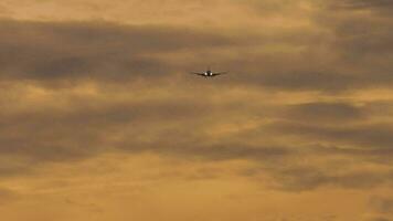 Jet Flugzeug Annäherung Landung. Passagier Verkehrsflugzeug fliegt im das wolkig Sonnenuntergang Himmel. filmisch Aufnahmen von Luftfahrt. Hintergrund Purpur Himmel video