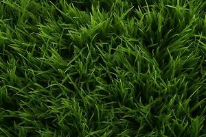 AI generated Green grass texture background. Close up of fresh spring grass top view photo