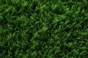 AI generated Green grass texture background. Close up of fresh spring grass top view photo
