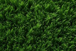 AI generated Green grass texture background. Close up of fresh spring grass top view photo