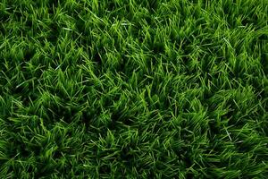 AI generated Green grass texture background. Close up of fresh spring grass top view photo