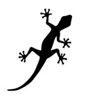 Vector hand drawn doodle sketch gecko lizard silhouette