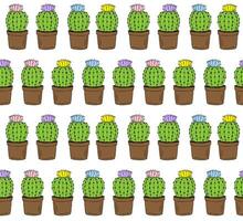 Vector seamless pattern of hand drawn cactus