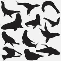 seal animal silhouette set vector