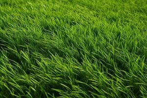 AI generated Green grass texture background. Close up of fresh spring grass top view photo