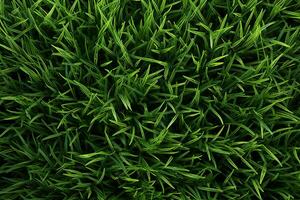 AI generated Green grass texture background. Close up of fresh spring grass top view photo