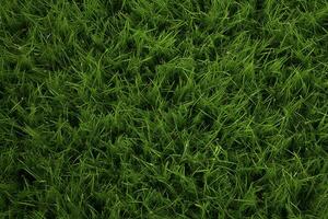 AI generated Green grass texture background. Close up of fresh spring grass top view photo