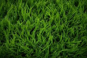 AI generated Green grass texture background. Close up of fresh spring grass top view photo