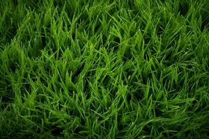 AI generated Green grass texture background. Close up of fresh spring grass top view photo