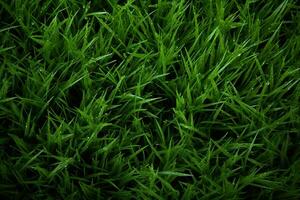 AI generated Green grass texture background. Close up of fresh spring grass top view photo