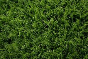 AI generated Green grass texture background. Close up of fresh spring grass top view photo