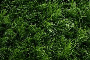 AI generated Green grass texture background. Close up of fresh spring grass top view photo