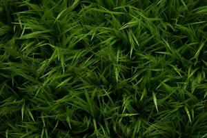 AI generated Green grass texture background. Close up of fresh spring grass top view photo