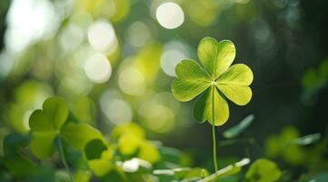 AI generated four leaf clover leaf against a blond background photo