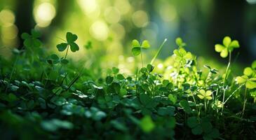 AI generated green grass wallpaper with shamrocks photo