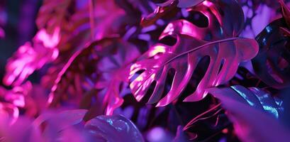 AI generated purple and pink background with tropical leaves photo