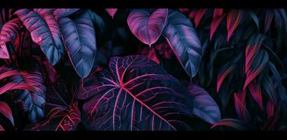 ai generado púrpura y Violeta selva hojas en el noche hora foto