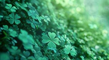 AI generated shamrocks, clover leaves are in a green background photo