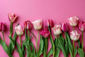 AI generated tulips in shades of pink arrangement in pink background top view photo