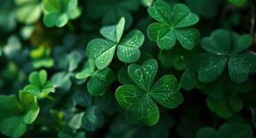 AI generated several green clover leaves growing on a dark background photo