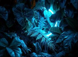 AI generated a blue light frame that is surrounded by dark green leaves photo