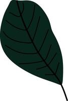 Abstract monstera leaf vector element