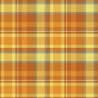 Plaid Patterns Seamless. Traditional Scottish Checkered Background. for Scarf, Dress, Skirt, Other Modern Spring Autumn Winter Fashion Textile Design. vector