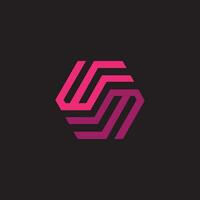 Initial letter wm logo or mw logo vector design template