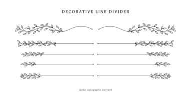 leaves vines line divider for text layout separator decoration vector element set