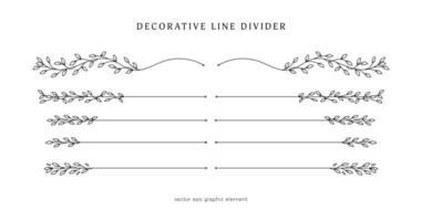 leaves vines line divider for text layout separator decoration vector element set