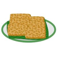 Tempeh indonesian food vector