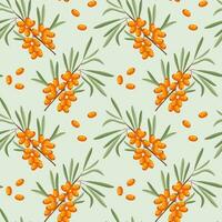 Seamless pattern, sea buckthorn branches and sea buckthorn berries on a light background. Print, background, vector