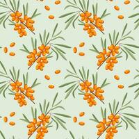 Seamless pattern, sea buckthorn branches and sea buckthorn berries on a light background. Print, background, vector