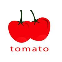 Vector illustration of a tomato with a slightly messy design.