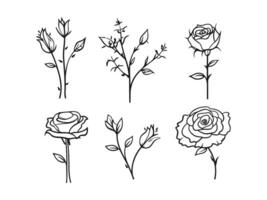conjunto de mano dibujado flor ilustración vector