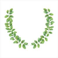 Green leaves. Wreath of climbing Branches of Asian plant. Cassia, Wisteria. Butterfly pea flower vector