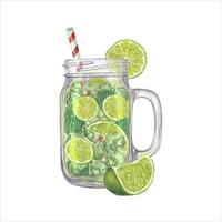 Watercolor summer refreshing mojito. Lime slices, Mint leaves, Ice cubes, drinking Straw, glass Jar. vector