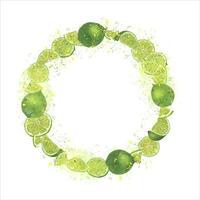 Wreath of ripe limes with splashes citrus juice. Fruit composition. Copy space for text vector