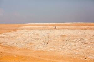 famoso egipcio pirámides de giza. paisaje en Egipto. pirámide en desierto. África. preguntarse de el mundo foto